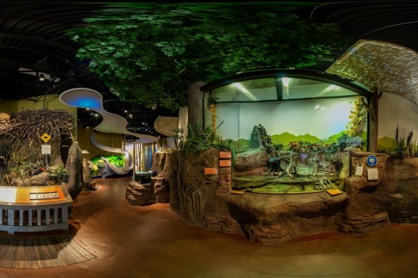 Kolor stitching | 12 pictures | Size: 9391 x 4541 | FOV: 360.00 x 174.07 ~ 2.97 | RMS: 3.75 | Lens: Fisheye | Projection: Spherical | Color: LDR |