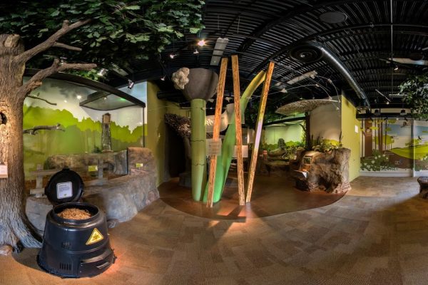 Kolor stitching | 12 pictures | Size: 9387 x 4530 | FOV: 360.00 x 173.74 ~ 3.13 | RMS: 3.14 | Lens: Fisheye | Projection: Spherical | Color: LDR |