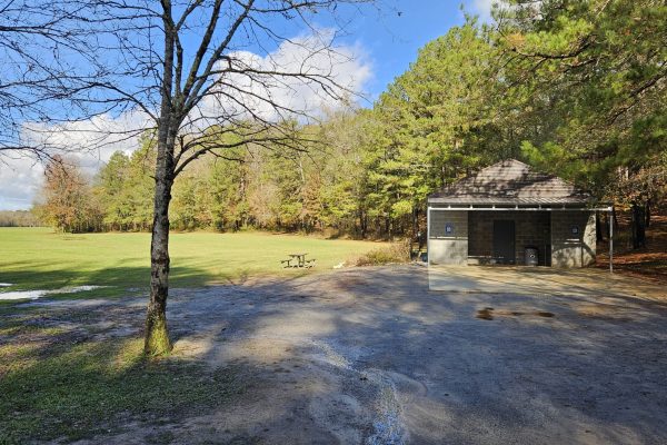 MR_TPL-CRH_20241120 (1)