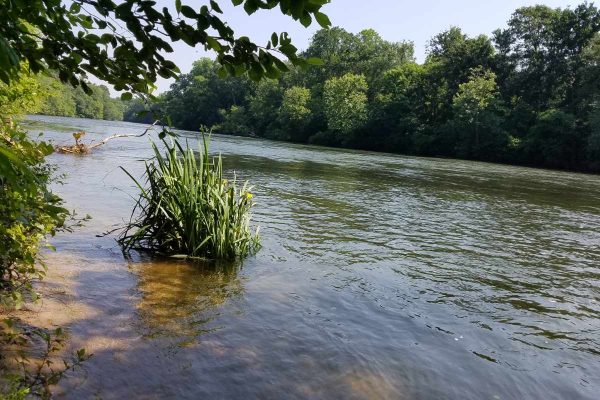 P2-CRNRA-IslandFort-5