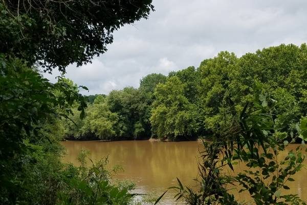 P5-BendStPark-2