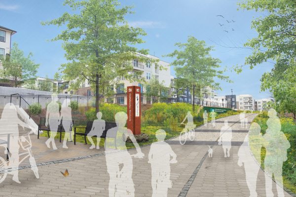 Perspective_NfromEddy