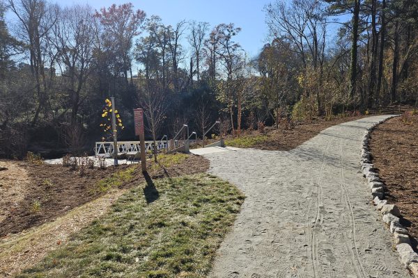 SPG_TPL_20241202 (1)