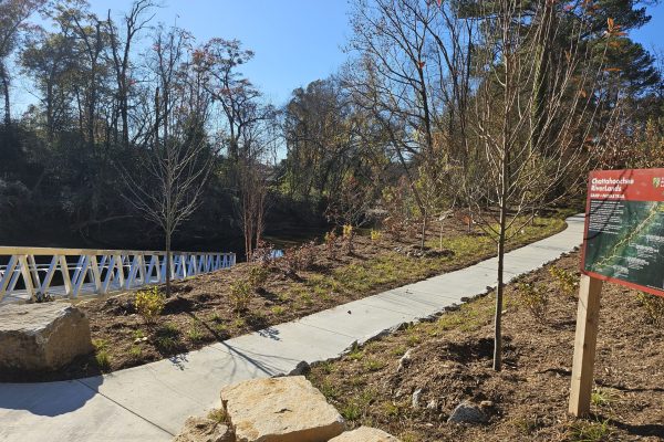 SPG_TPL_20241202 (2)